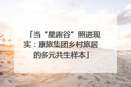 当“星露谷”照进现实：康旅集团乡村旅居的多元共生样本